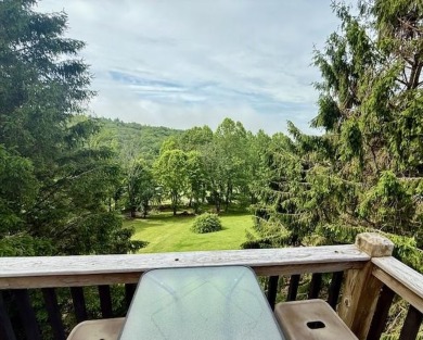 Looking for PRIVACY and located in Skyland Lakes Golf Course on Skyland Lakes Golf Course in Virginia - for sale on GolfHomes.com, golf home, golf lot