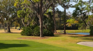 Gorgeously updated and hurricane-ready, this lakefront pool home on The Meadows Golf and Country Club in Florida - for sale on GolfHomes.com, golf home, golf lot