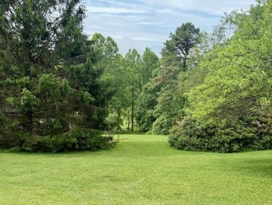 Looking for PRIVACY and located in Skyland Lakes Golf Course on Skyland Lakes Golf Course in Virginia - for sale on GolfHomes.com, golf home, golf lot
