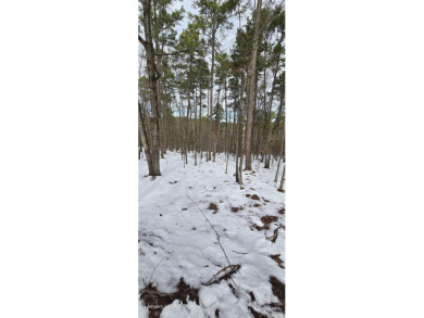 Nestled amidst lush greenery and scenic landscapes, these lots on Ponce De Leon Golf Course in Arkansas - for sale on GolfHomes.com, golf home, golf lot