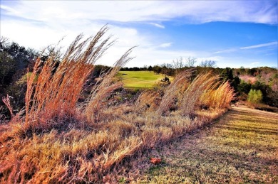 Pronghorn is one of the largest and most desirable subdivisions on Rock Creek Golf Club in Texas - for sale on GolfHomes.com, golf home, golf lot