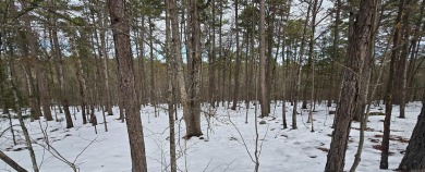Nestled amidst lush greenery and scenic landscapes, these lots on Ponce De Leon Golf Course in Arkansas - for sale on GolfHomes.com, golf home, golf lot