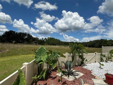 If you love nature and beautiful sunsets your search is over on Plantation Golf Club in Florida - for sale on GolfHomes.com, golf home, golf lot