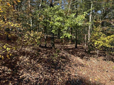 Build your dream home on the golf course in Diamante! This golf on Diamante Golf and Country Club in Arkansas - for sale on GolfHomes.com, golf home, golf lot