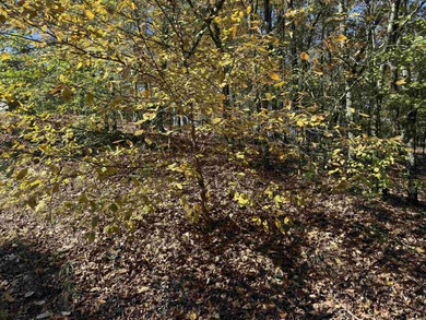 Build your dream home on the golf course in Diamante! This golf on Diamante Golf and Country Club in Arkansas - for sale on GolfHomes.com, golf home, golf lot