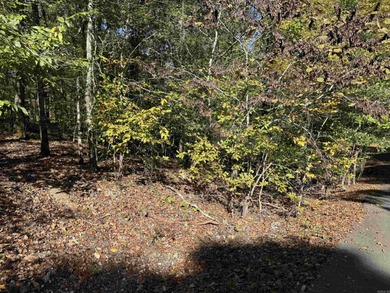 Build your dream home on the golf course in Diamante! This golf on Diamante Golf and Country Club in Arkansas - for sale on GolfHomes.com, golf home, golf lot