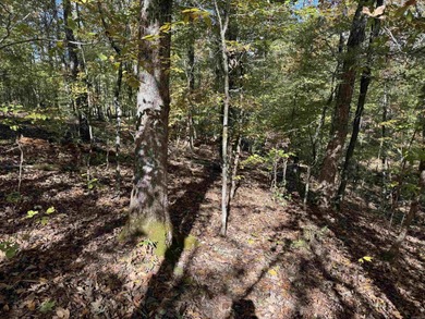 Build your dream home on the golf course in Diamante! This golf on Diamante Golf and Country Club in Arkansas - for sale on GolfHomes.com, golf home, golf lot