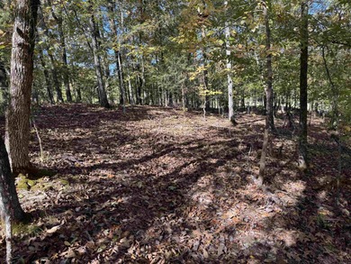 Build your dream home on the golf course in Diamante! This golf on Diamante Golf and Country Club in Arkansas - for sale on GolfHomes.com, golf home, golf lot