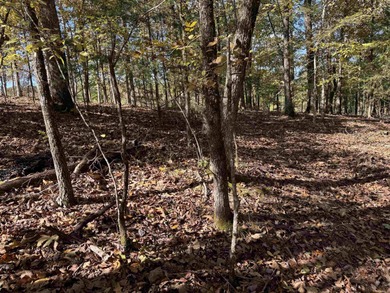 Build your dream home on the golf course in Diamante! This golf on Diamante Golf and Country Club in Arkansas - for sale on GolfHomes.com, golf home, golf lot