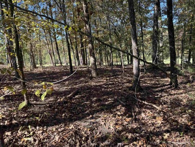 Build your dream home on the golf course in Diamante! This golf on Diamante Golf and Country Club in Arkansas - for sale on GolfHomes.com, golf home, golf lot