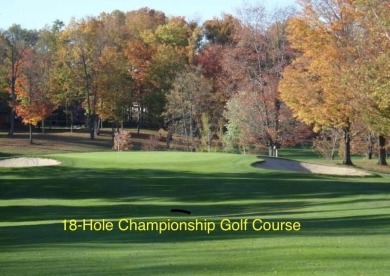 ?? Calling All Pilots! ???Rare opportunity to own a prime 1-acre on Sugar Springs Country Club in Michigan - for sale on GolfHomes.com, golf home, golf lot