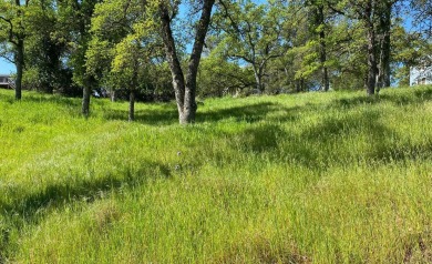 Soak Up the Views of Lake Tulloch from the upper portion of this on The Club at Copper Valley Golf Course in California - for sale on GolfHomes.com, golf home, golf lot