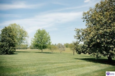 This well maintained brick ranch sits in the beautiful Warren on Campbellsville Country Club in Kentucky - for sale on GolfHomes.com, golf home, golf lot