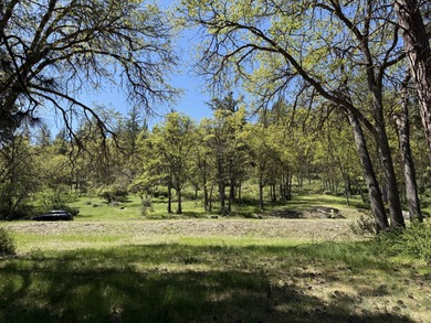 Beautiful and scenic ready to build lot located at the Running Y on Running Y Ranch Resort in Oregon - for sale on GolfHomes.com, golf home, golf lot