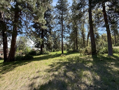 Beautiful and scenic ready to build lot located at the Running Y on Running Y Ranch Resort in Oregon - for sale on GolfHomes.com, golf home, golf lot