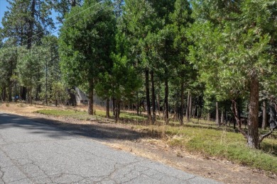 Nestled amidst the serene pines of Arnold, CA, awaits your on Sequoia Woods Country Club in California - for sale on GolfHomes.com, golf home, golf lot