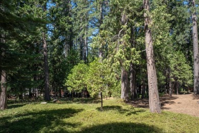 Nestled amidst the serene pines of Arnold, CA, awaits your on Sequoia Woods Country Club in California - for sale on GolfHomes.com, golf home, golf lot