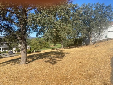 Are you looking for a view lot to build your dream home in on Greenhorn Creek Resort in California - for sale on GolfHomes.com, golf home, golf lot