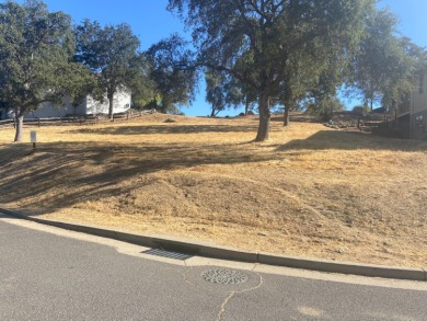 Are you looking for a view lot to build your dream home in on Greenhorn Creek Resort in California - for sale on GolfHomes.com, golf home, golf lot