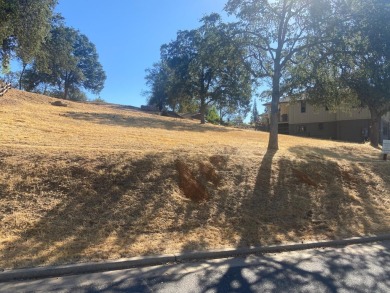 Are you looking for a view lot to build your dream home in on Greenhorn Creek Resort in California - for sale on GolfHomes.com, golf home, golf lot