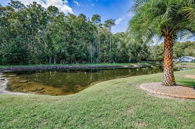 ENJOY THE POND & CONSERVATION VIEWS OF PEACE & TRANQUILITY IN on Summertree Golf Course in Florida - for sale on GolfHomes.com, golf home, golf lot