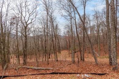 9+ acres of privacy within the gates of Chinquapin! Currently on Natures Walk At Chinquapin in North Carolina - for sale on GolfHomes.com, golf home, golf lot
