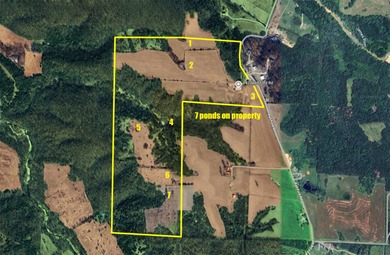 This breathtaking 156-acre farm offers a rare combination of on  in Missouri - for sale on GolfHomes.com, golf home, golf lot