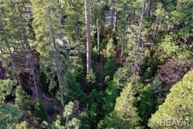 Gorgeous shaded lot located near the *The Monster* 15th Fairway on Lake Arrowhead Country Club in California - for sale on GolfHomes.com, golf home, golf lot