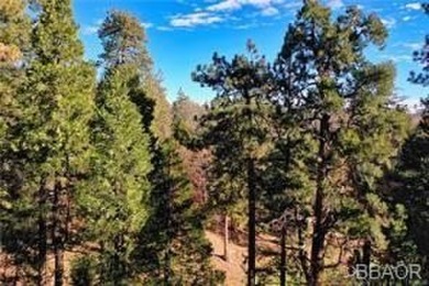 Gorgeous shaded lot located near the *The Monster* 15th Fairway on Lake Arrowhead Country Club in California - for sale on GolfHomes.com, golf home, golf lot