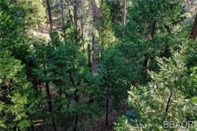Gorgeous shaded lot located near the *The Monster* 15th Fairway on Lake Arrowhead Country Club in California - for sale on GolfHomes.com, golf home, golf lot