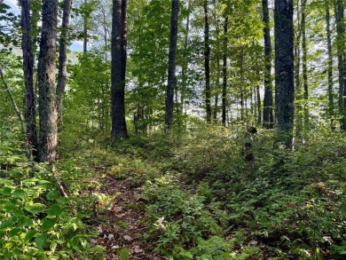 Situated at the end of a quiet cul-de-sac in Mountaintop Golf & on Mountaintop Golf and Lake Club in North Carolina - for sale on GolfHomes.com, golf home, golf lot