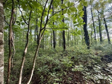 Situated at the end of a quiet cul-de-sac in Mountaintop Golf & on Mountaintop Golf and Lake Club in North Carolina - for sale on GolfHomes.com, golf home, golf lot