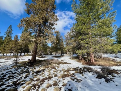 Experience the ultimate in luxury living at this exceptional lot on Nakoma Golf Resort in California - for sale on GolfHomes.com, golf home, golf lot