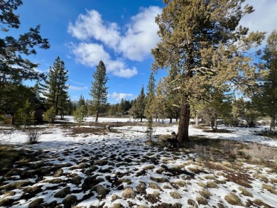Experience the ultimate in luxury living at this exceptional lot on Nakoma Golf Resort in California - for sale on GolfHomes.com, golf home, golf lot
