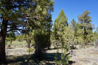 Experience the ultimate in luxury living at this exceptional lot on Nakoma Golf Resort in California - for sale on GolfHomes.com, golf home, golf lot