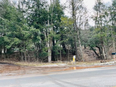 Sold as is.

3 minutes to the ski slopes and across the street on Windham Country Club in New York - for sale on GolfHomes.com, golf home, golf lot