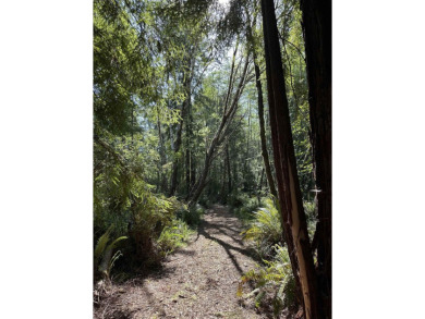 This is a MUST-SEE incredible opportunity to own 8.5 acres of a on Del Norte Golf Club in California - for sale on GolfHomes.com, golf home, golf lot