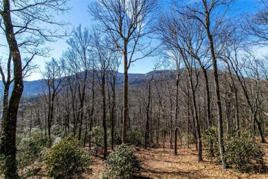 Discover your mountain retreat offering sweeping views of Lake on Lake Toxaway Country Club in North Carolina - for sale on GolfHomes.com, golf home, golf lot