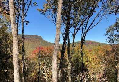 Build your mountain retreat in the prestigious Cullasaja Club on Cullasaja Club in North Carolina - for sale on GolfHomes.com, golf home, golf lot