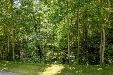 Discover a 1.98-acre parcel in the Trillium Ridge section of on Trillium Links in North Carolina - for sale on GolfHomes.com, golf home, golf lot