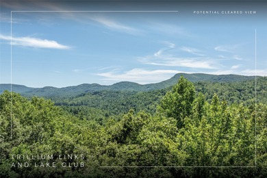 Enjoy mountain views and a great location in this rare dual-lot on Trillium Links in North Carolina - for sale on GolfHomes.com, golf home, golf lot