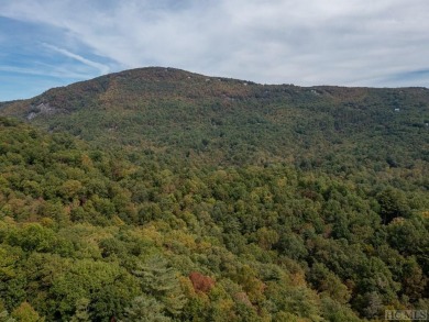 Build your mountain getaway here on Trillium Court! Conveniently on Sapphire National Golf Club in North Carolina - for sale on GolfHomes.com, golf home, golf lot