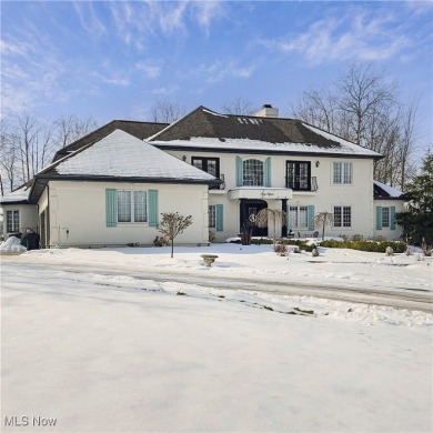 Wonderful French Country Manor on the 15th Hole of Barrington on  in Ohio - for sale on GolfHomes.com, golf home, golf lot