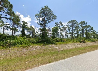 City water and city sewer are available, making this a great on Rotonda Golf and Country Club The Links Course in Florida - for sale on GolfHomes.com, golf home, golf lot