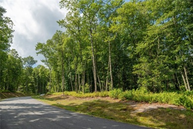Gorgeous mountain view lot with a very gentle home site sitting on Natures Walk At Chinquapin in North Carolina - for sale on GolfHomes.com, golf home, golf lot