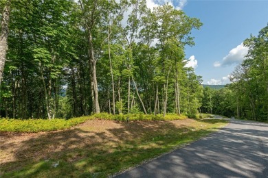 Gorgeous mountain view lot with a very gentle home site sitting on Natures Walk At Chinquapin in North Carolina - for sale on GolfHomes.com, golf home, golf lot