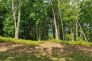 Gorgeous mountain view lot with a very gentle home site sitting on Natures Walk At Chinquapin in North Carolina - for sale on GolfHomes.com, golf home, golf lot