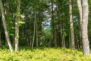 Gorgeous mountain view lot with a very gentle home site sitting on Natures Walk At Chinquapin in North Carolina - for sale on GolfHomes.com, golf home, golf lot