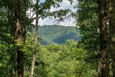 Gorgeous mountain view lot with a very gentle home site sitting on Natures Walk At Chinquapin in North Carolina - for sale on GolfHomes.com, golf home, golf lot