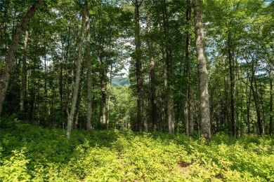 Gorgeous mountain view lot with a very gentle home site sitting on Natures Walk At Chinquapin in North Carolina - for sale on GolfHomes.com, golf home, golf lot